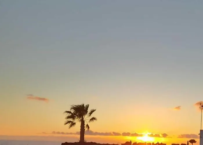 Con Terraza Y Jardin Hébergement de vacances